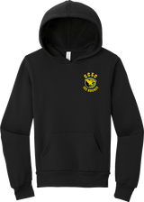 Chester County Youth Sponge Fleece Pullover Hoodie