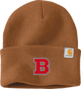 CT Bobcats Carhartt Watch Cap 2.0