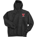 University of Tampa Ultimate Cotton - Pullover Hooded Sweatshirt