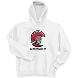 University of Tampa Ultimate Cotton - Pullover Hooded Sweatshirt