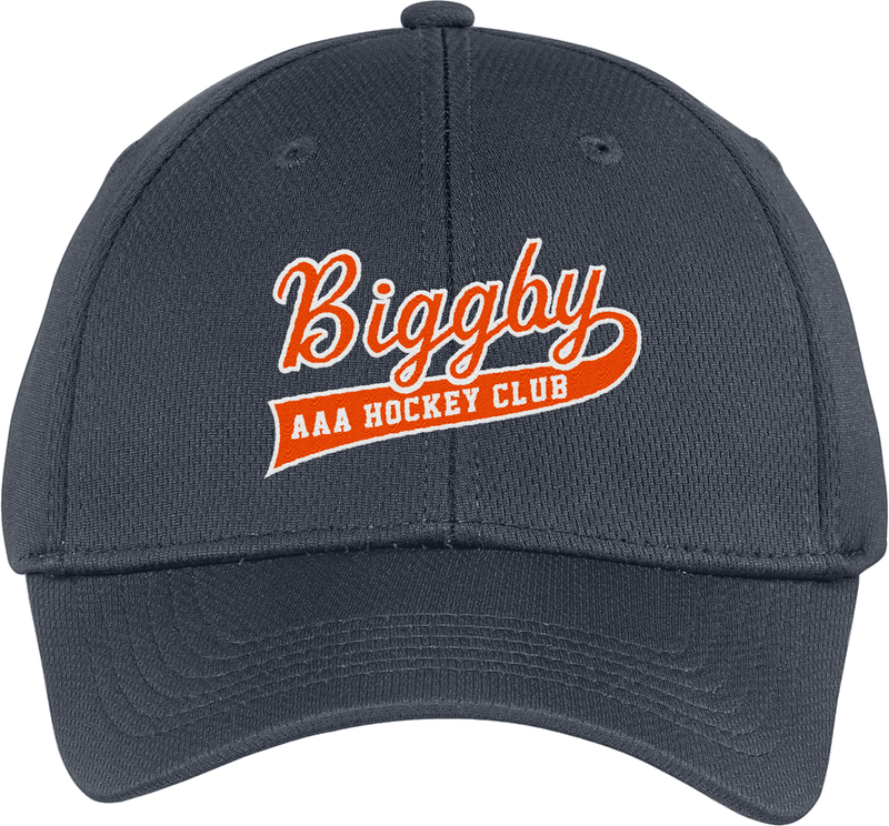 Biggby Coffee AAA Youth PosiCharge RacerMesh Cap